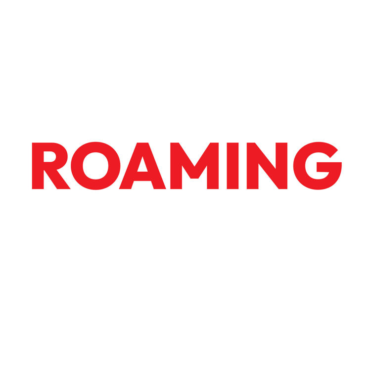 Picture of Roaming SIM Card